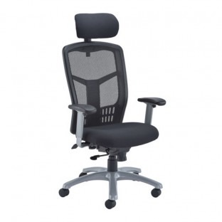 Fonz Mesh Office Chair