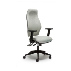 Orthopaedica 300 High Back Ergonomic Task Chair