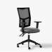 Saturn Mesh Back Task Chair